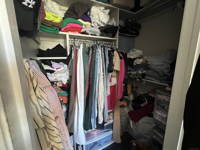 53641 Buckingham Ln, Shelby Twp, MI 48316 - view of spacious closet