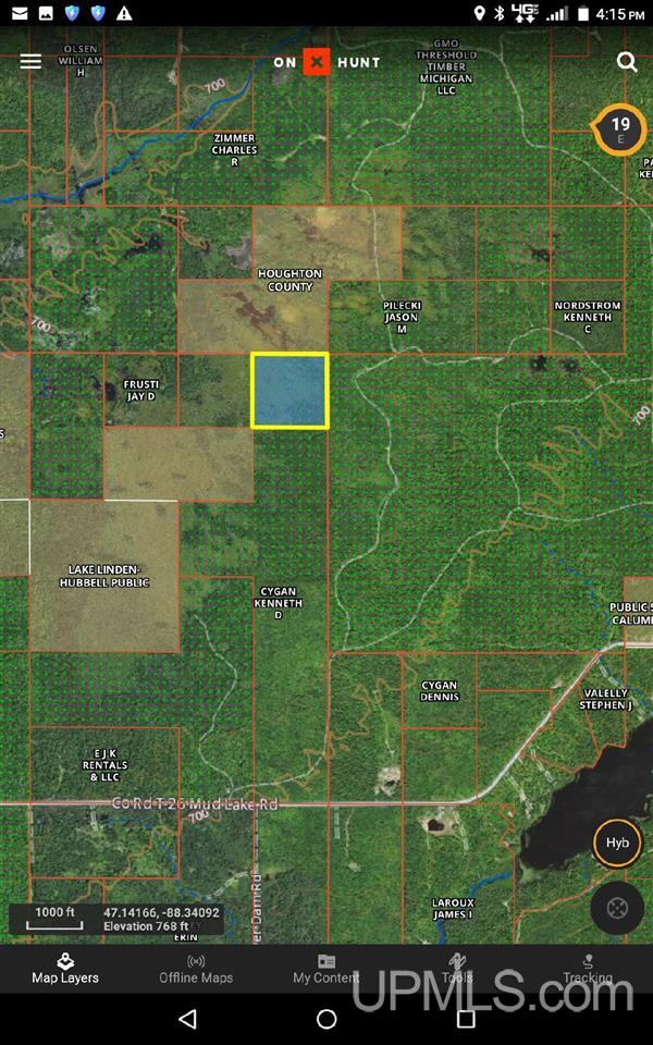 TBD Mud Lake Road, Lake Linden, MI 49945