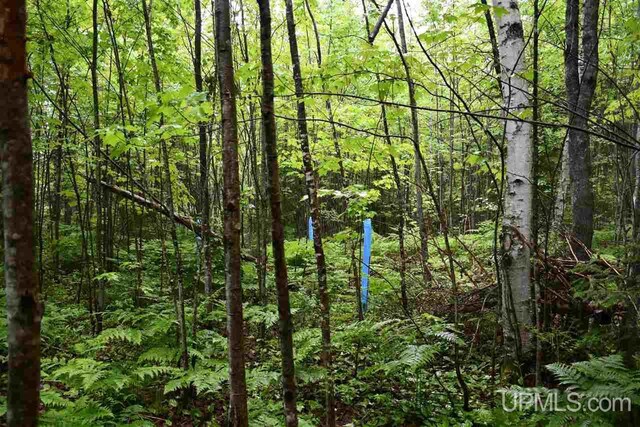 TBD Mud Lake Road, Lake Linden, MI 49945