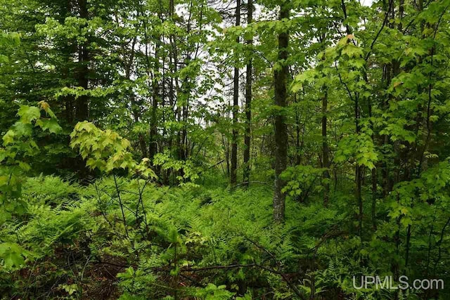 TBD Mud Lake Road, Lake Linden, MI 49945