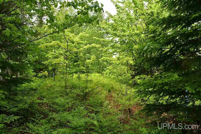 TBD Mud Lake Road, Lake Linden, MI 49945