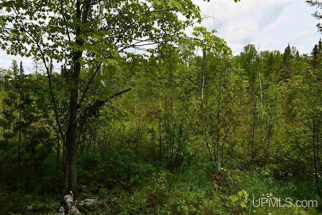 TBD Mud Lake Road, Lake Linden, MI 49945