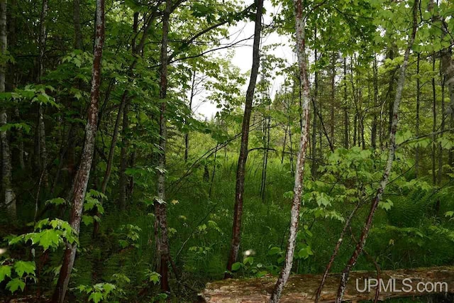 TBD Mud Lake Road, Lake Linden, MI 49945