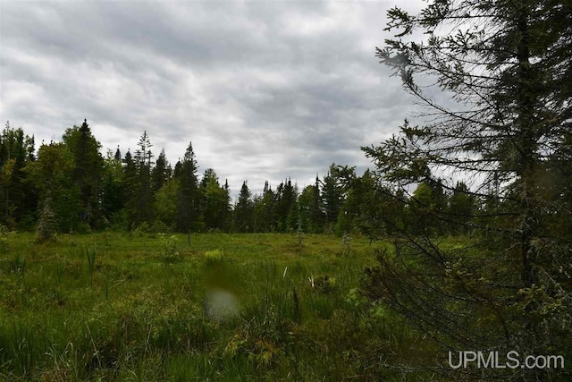 TBD Mud Lake Road, Lake Linden, MI 49945