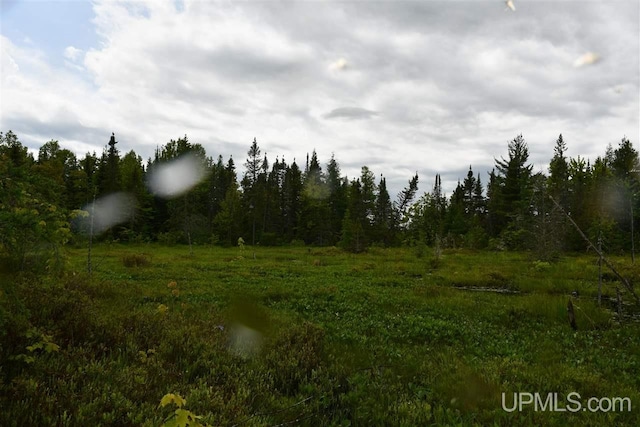 TBD Mud Lake Road, Lake Linden, MI 49945