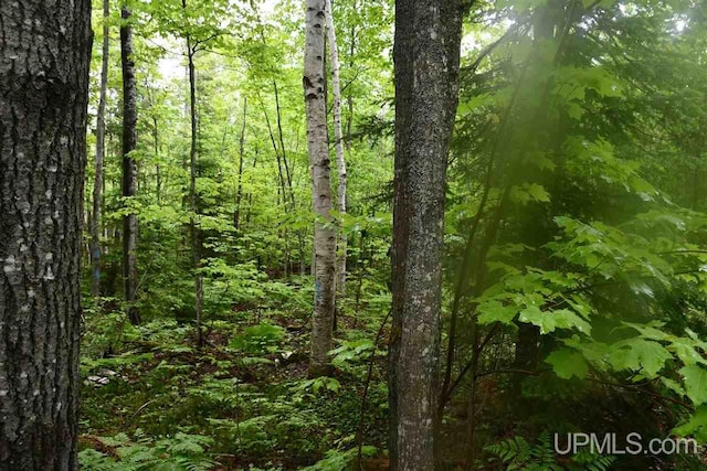 TBD Mud Lake Road, Lake Linden, MI 49945