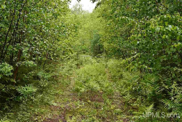 TBD Mud Lake Road, Lake Linden, MI 49945