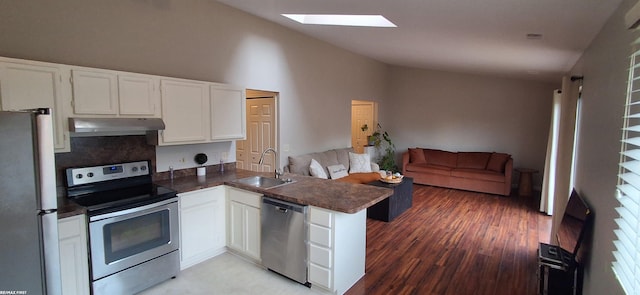 38770 Lanse Creuse St, Harrison Twp, MI 48045 - kitchen with stainless steel appliances, a sink, under cabinet range hood, open floor plan, and a skylight