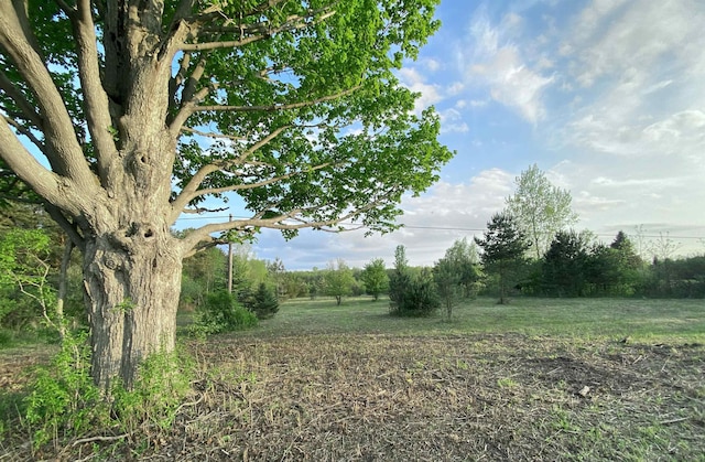 17344 33 Mile Rd, Armada, MI 48005