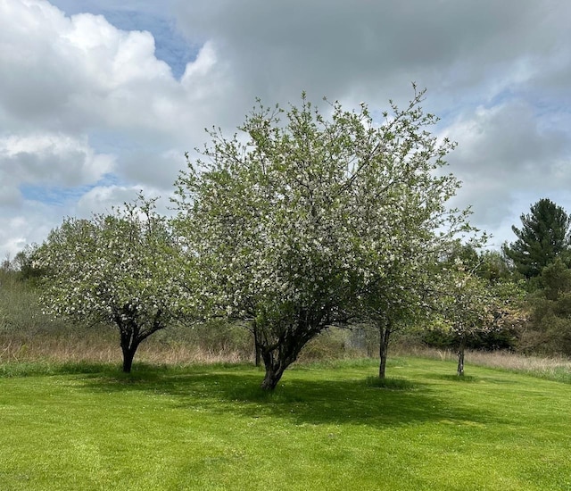 4550 Calhoun Rd, Beaverton, MI 48612 - view of grassy yard