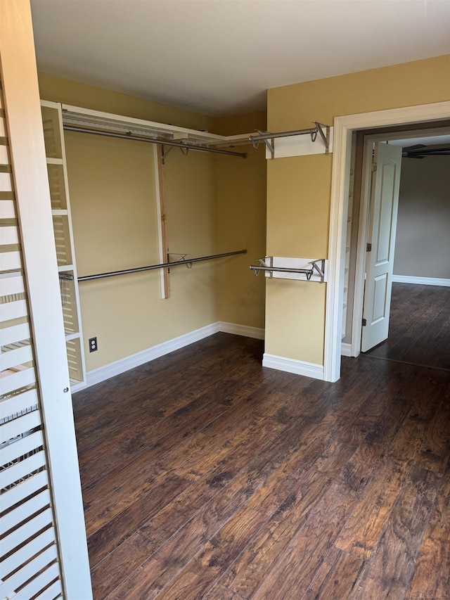 4283 Snoal Ln, Shelby Twp, MI 48316 - walk in closet with wood finished floors