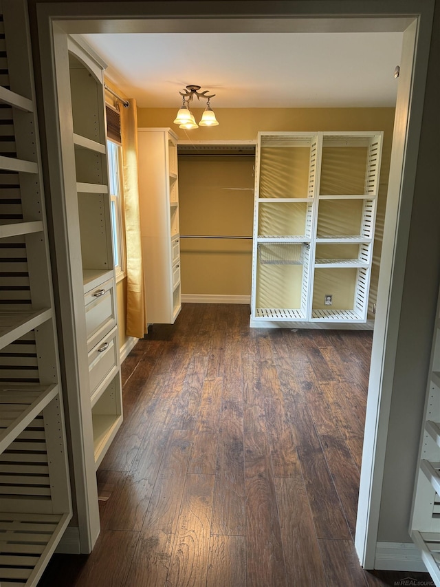 4283 Snoal Ln, Shelby Twp, MI 48316 - walk in closet featuring dark wood-type flooring