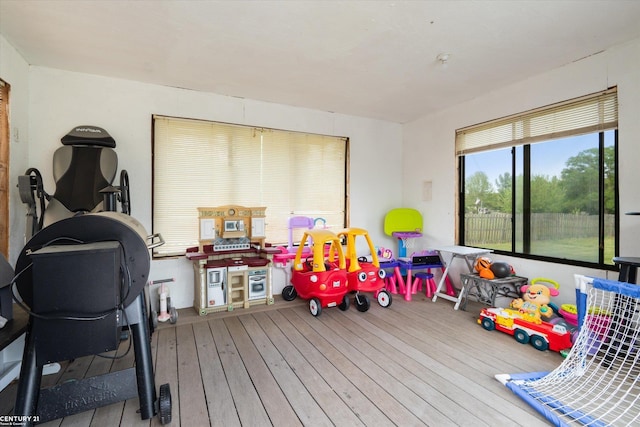 1497 Parke St, Rochester Hills, MI 48307 - playroom with wood-type flooring