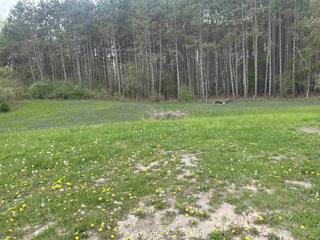 1423 Chappel Dam Rd, Gladwin, MI 48624