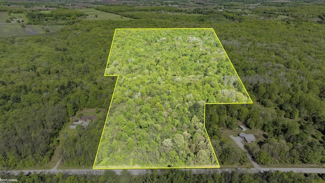 VACANT Emerson Rd, Goodells, MI 48027