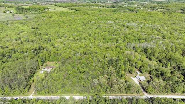 VACANT Emerson Rd, Goodells, MI 48027