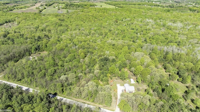 VACANT Emerson Rd, Goodells, MI 48027