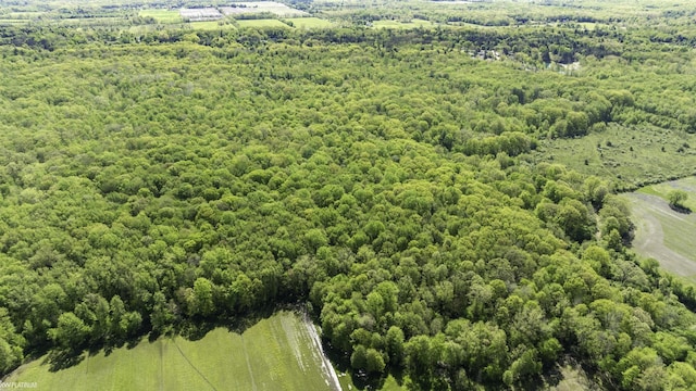 VACANT Emerson Rd, Goodells, MI 48027