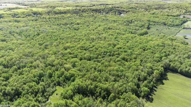 VACANT Emerson Rd, Goodells, MI 48027