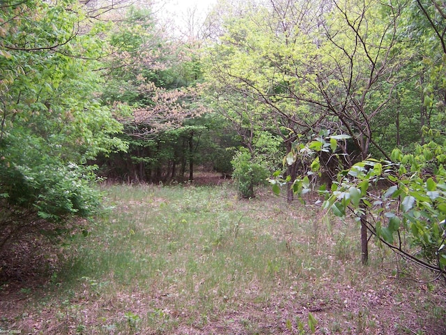 VACANT Emerson Rd, Goodells, MI 48027