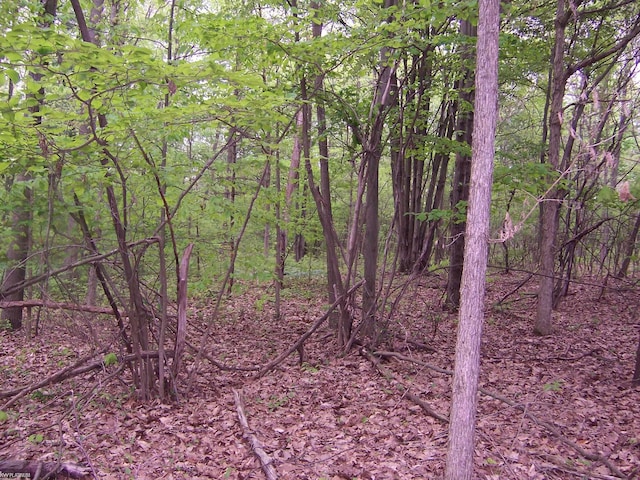 VACANT Emerson Rd, Goodells, MI 48027