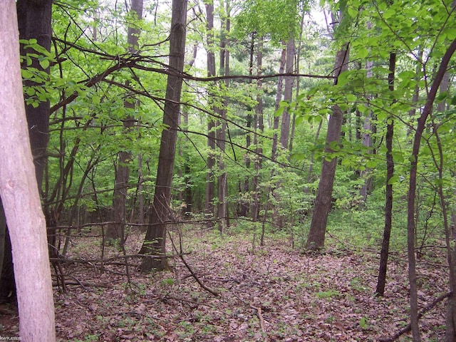 VACANT Emerson Rd, Goodells, MI 48027