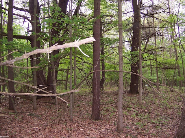 VACANT Emerson Rd, Goodells, MI 48027