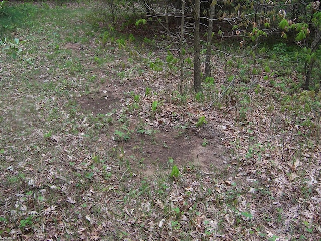 VACANT Emerson Rd, Goodells, MI 48027