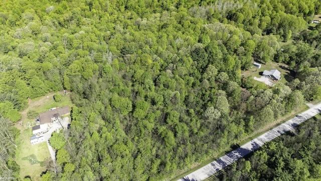 VACANT Emerson Rd, Goodells, MI 48027
