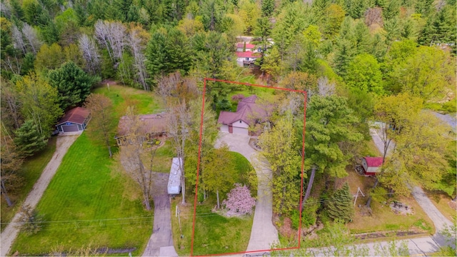 41 W River Dr, Gladwin, MI 48624 - aerial view of property's location with property boundaries highlighted and a forest