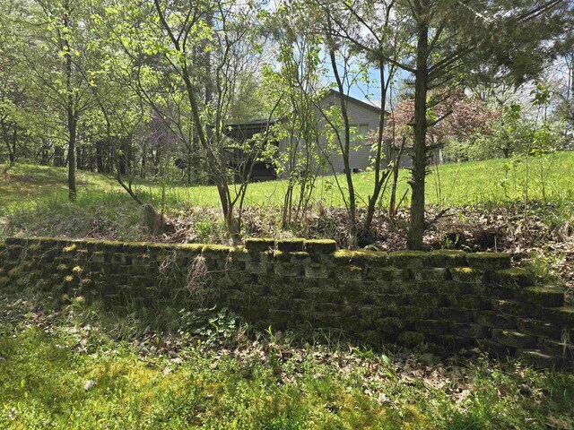 41 W River Dr, Gladwin, MI 48624 - view of local wilderness