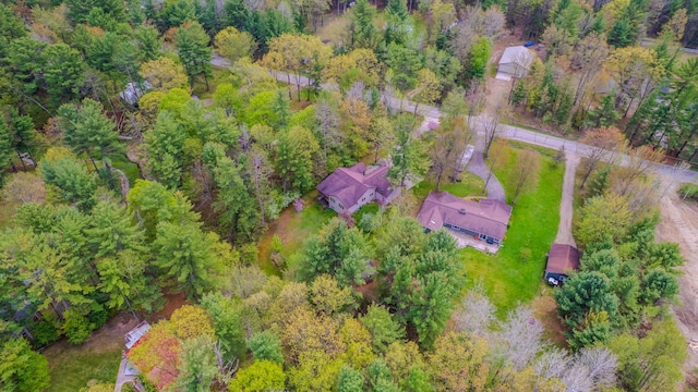 41 W River Dr, Gladwin, MI 48624 - aerial view