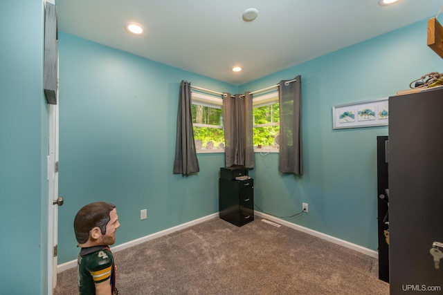 106 Green Rd, Michigamme, MI 49861 - miscellaneous room with carpet, baseboards, and recessed lighting