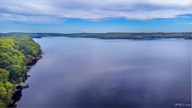 106 Green Rd, Michigamme, MI 49861 - water view