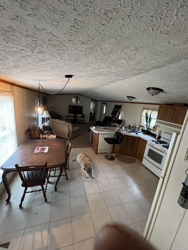 3065 S Curtisville Rd, South Branch, MI 48761 - dining area with light tile patterned floors and a textured ceiling