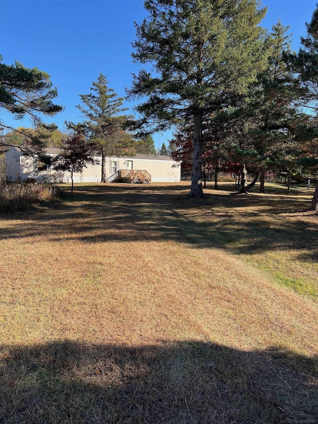 3065 S Curtisville Rd, South Branch, MI 48761 - view of grassy yard