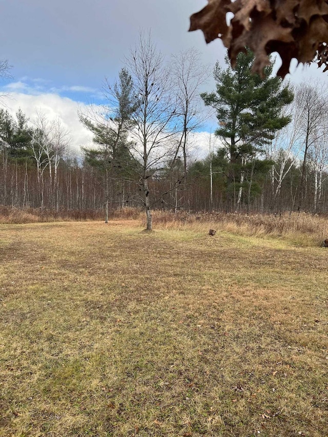 3065 S Curtisville Rd, South Branch, MI 48761 - view of grassy yard