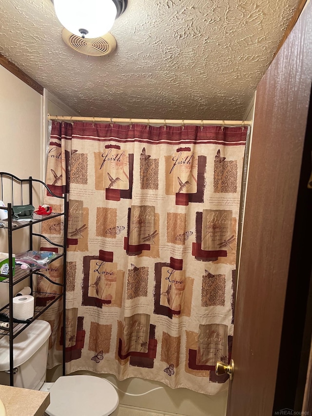3065 S Curtisville Rd, South Branch, MI 48761 - full bath featuring toilet, a textured ceiling, a shower with curtain, and vanity