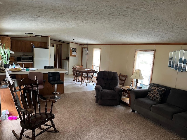 3065 S Curtisville Rd, South Branch, MI 48761 - living room featuring plenty of natural light, a textured ceiling, vaulted ceiling, and light carpet