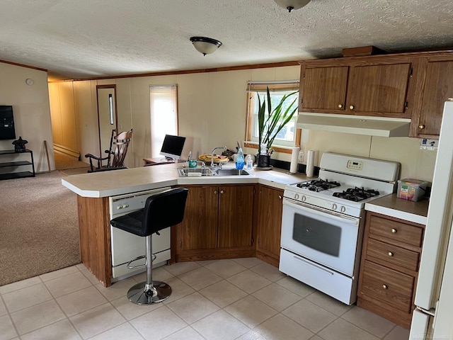 3065 S Curtisville Rd, South Branch, MI 48761 - kitchen with white range with gas stovetop, under cabinet range hood, dishwashing machine, a peninsula, and brown cabinetry