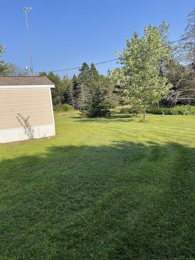 3065 S Curtisville Rd, South Branch, MI 48761 - view of grassy yard