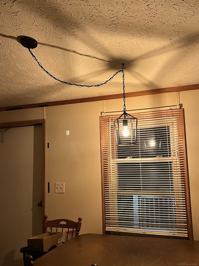 3065 S Curtisville Rd, South Branch, MI 48761 - dining area view of a textured ceiling