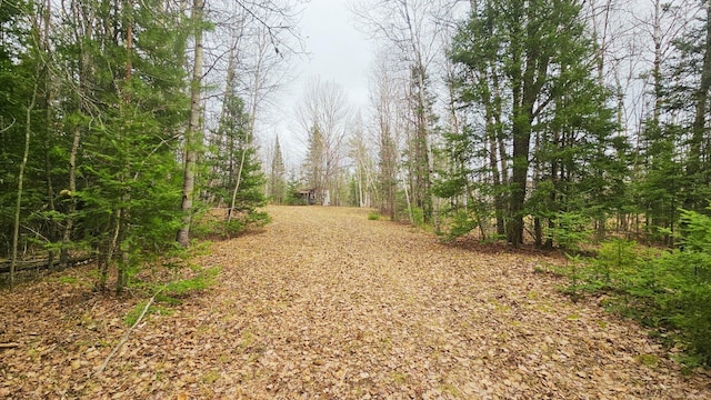853 Calderwood Rd, Trout Creek, MI 49967