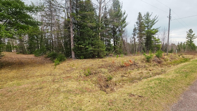 853 Calderwood Rd, Trout Creek, MI 49967
