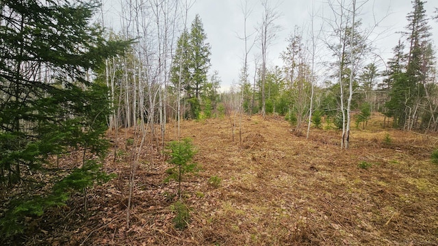 853 Calderwood Rd, Trout Creek, MI 49967