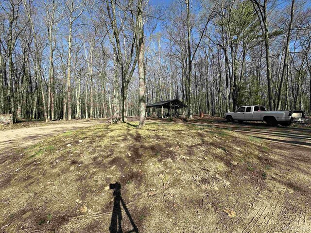 9014 Stagecoach Q.5 Ave, Gladstone, MI 49837 - view of yard featuring a detached carport and a wooded view