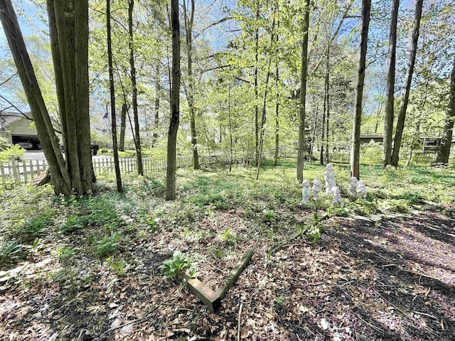 555 W Saxton Rd, Sanford, MI 48657 - view of local wilderness