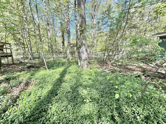 555 W Saxton Rd, Sanford, MI 48657 - view of undeveloped land