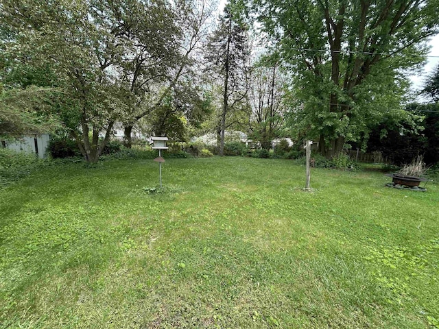 63150 Mound Rd, Washington Twp, MI 48095 - view of yard