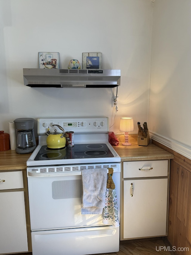 99 N Mitchell St, Gwinn, MI 49841 - kitchen featuring electric stove, under cabinet range hood, white cabinetry, and light countertops